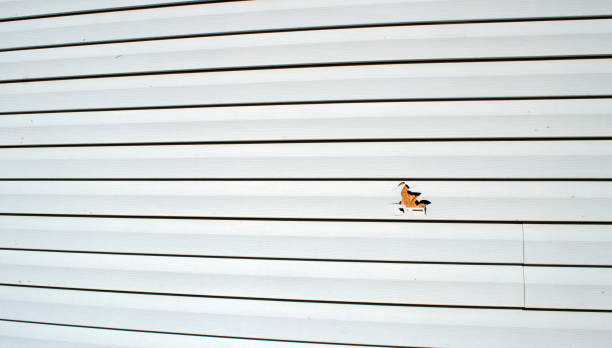 Best Engineered Wood Siding  in Crowley Lake, CA